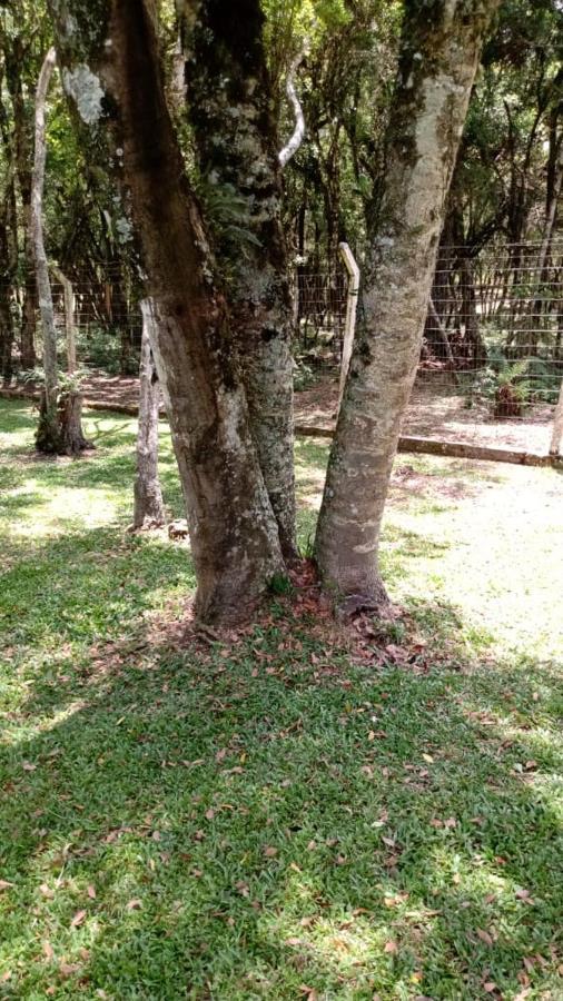 Residenciais Encantos Da Natureza Canela Kültér fotó